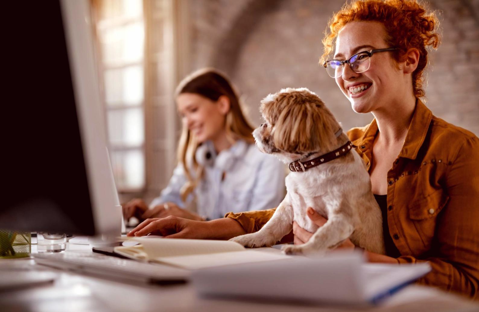 SEO training session showing analytics dashboard